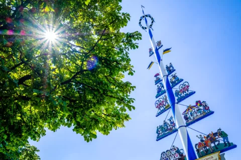 https://www.w-apartments.com/wp-content/uploads/2024/06/cw-maibaum-scaled.jpeg